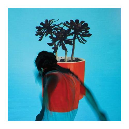 Local Natives Sunlit Youth (2LP)